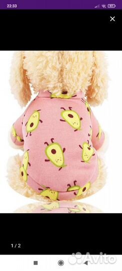 Одежда для собак