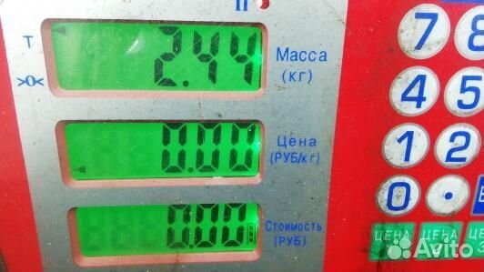 Пружина задняя nissan qashqai J10 (TBN04LY01)