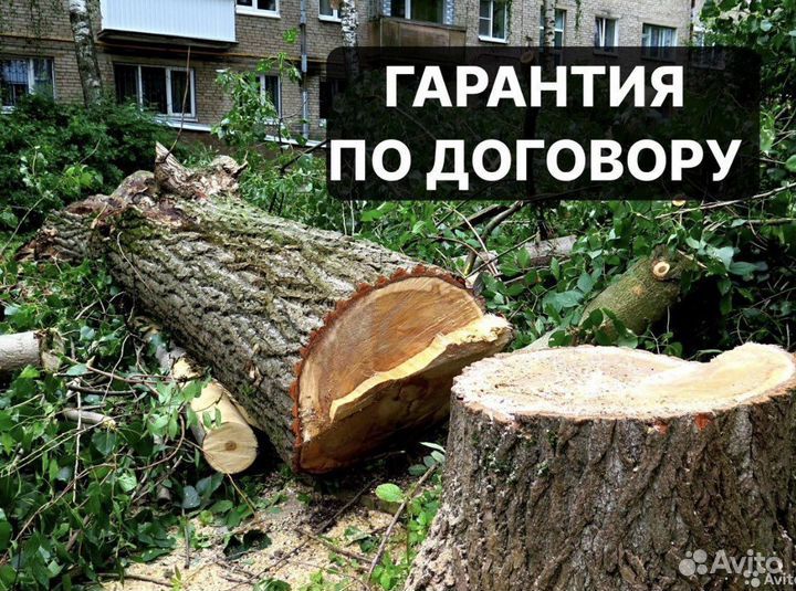 Спил деревьев расчистка участка дробилка выкорч
