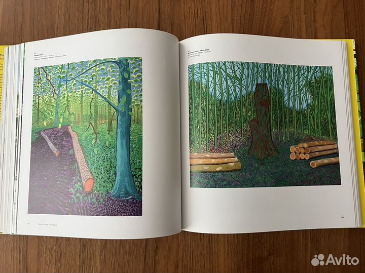 David Hockney A bigger picture Book