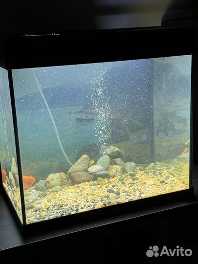Иаквариум juwel 120 + фильтр eheim experienc