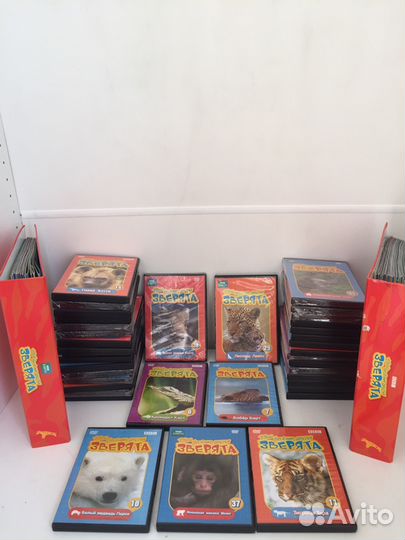 Твои веселые друзья зверята DVD коллекция