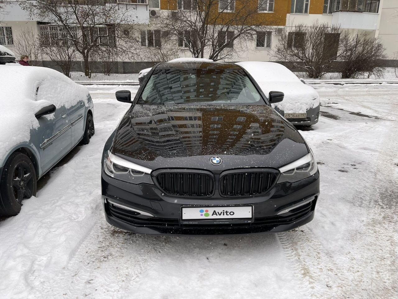 BMW 5 серия: фото владельца