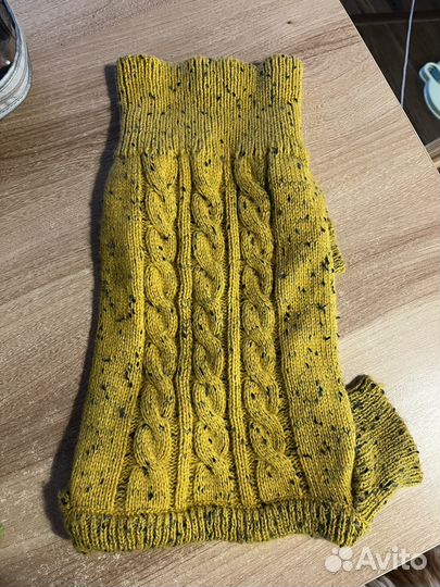 Одежда для собак