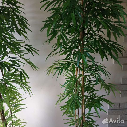 Дерево искусственное бамбук, манго