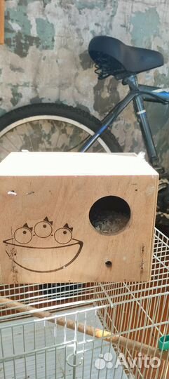 Гнездовой домик для попугаев