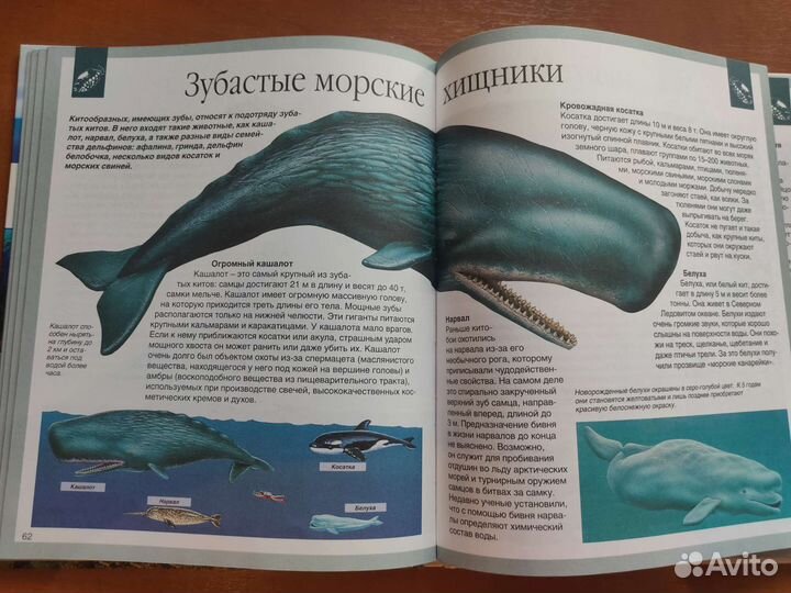 Детская энциклопедия мир моря