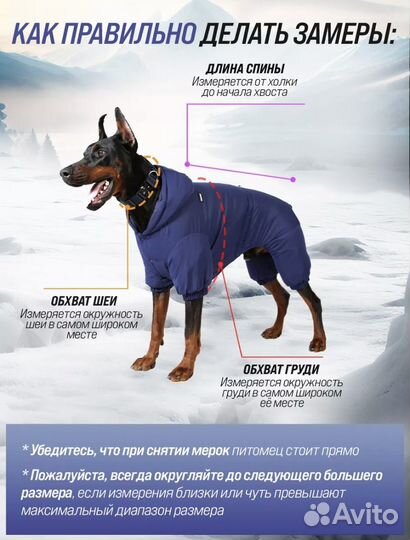 Одежда для крупных собак