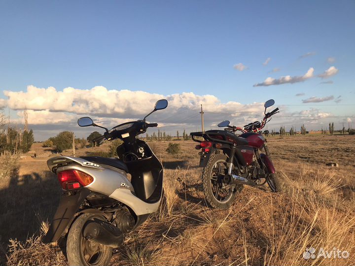 Racer alpha gc50