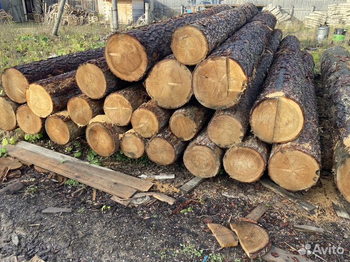 Лес кругляк оцбЛиственница