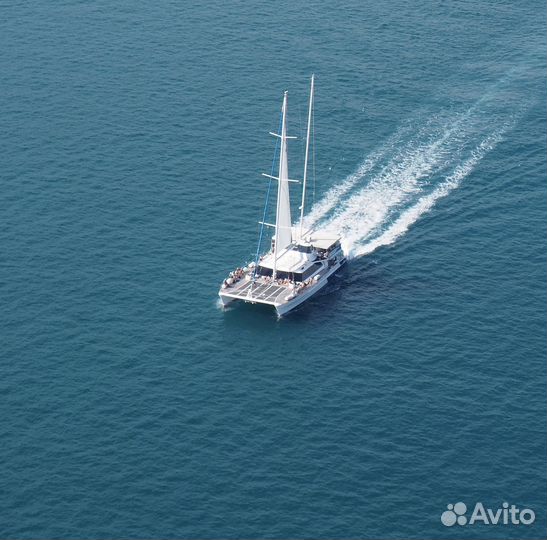 Аренда яхт и катеров в Сочи