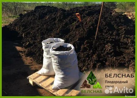 Земля плодородная