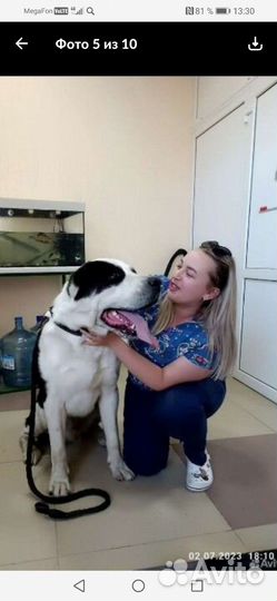 По уходу за животными