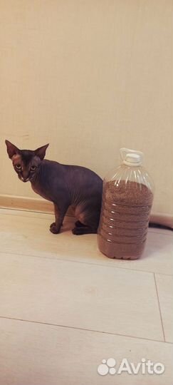 Наполнитель в туалет кошек