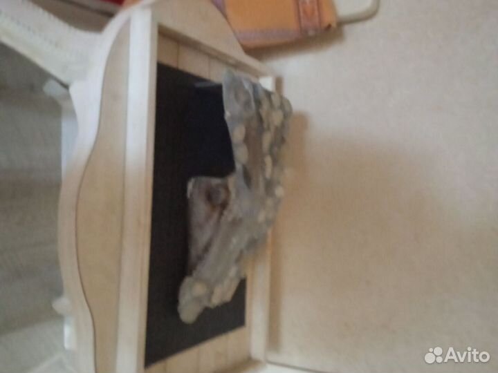 Домик для черепахи