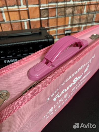 Мелодика (комплект)