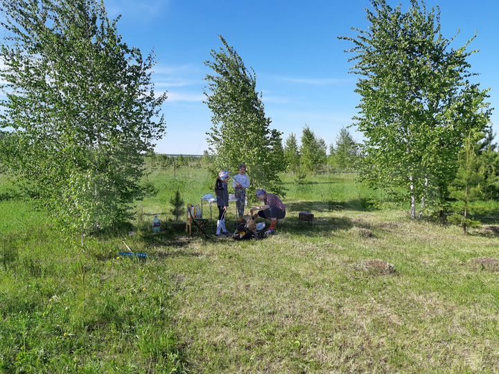 Участок 14 сот. (СНТ, ДНП)