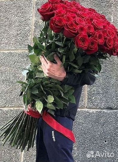 Розы гиганты 140 150 160 170 180 200