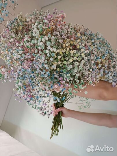 Гипсофила. Цветы. Букеты