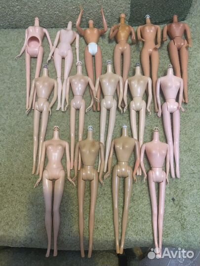 Барби, тела, головы