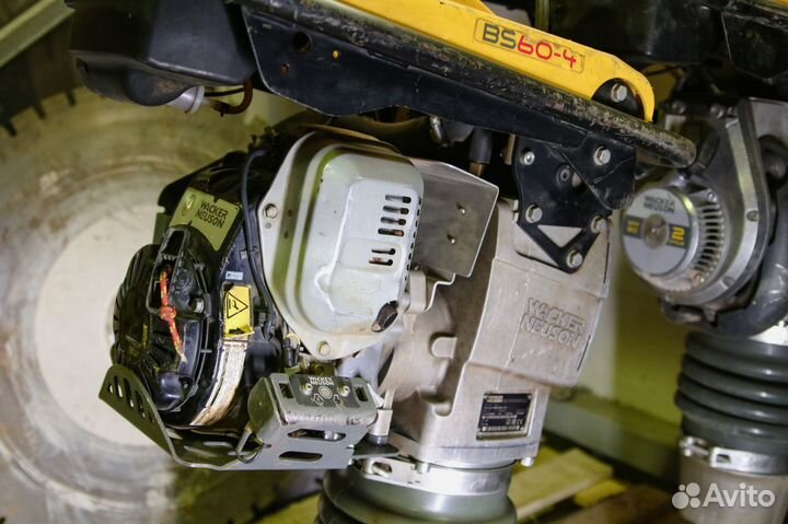 Вибротрамбовки Wacker Neuson в аренду