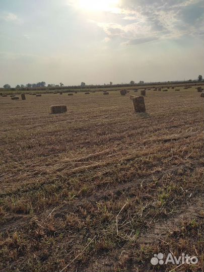 Сено второй покос