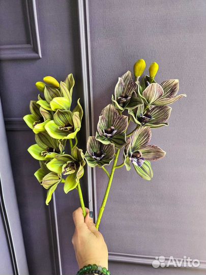 Цимбидиум искусственный