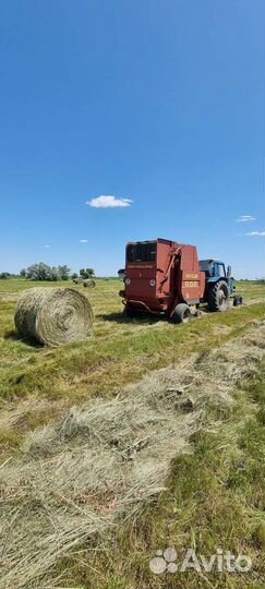 Сено в рулонах
