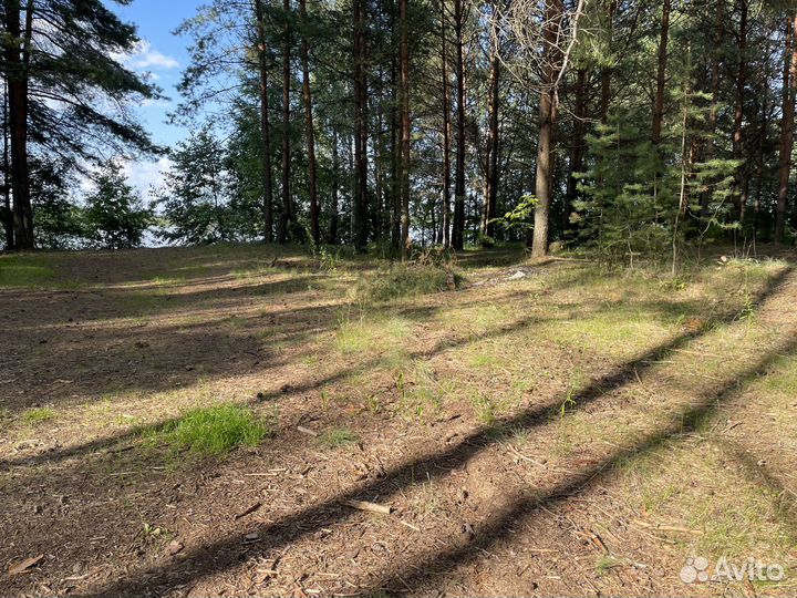 Сельхоз туризм - эко туризм на сельхозке