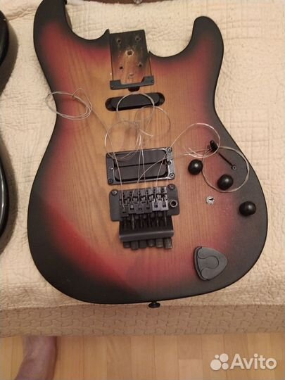 Burncuster twin br.Lebdewe USA