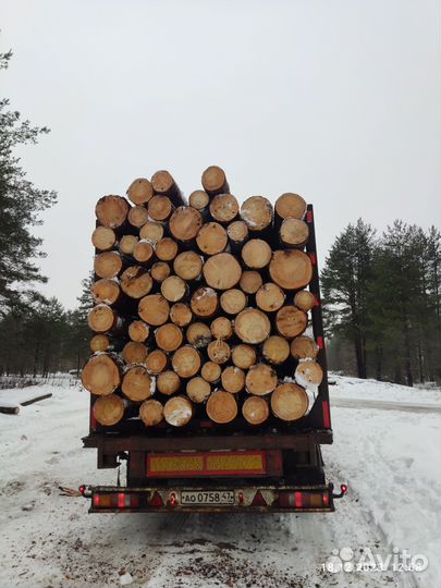 Пиловочник Круглый лес