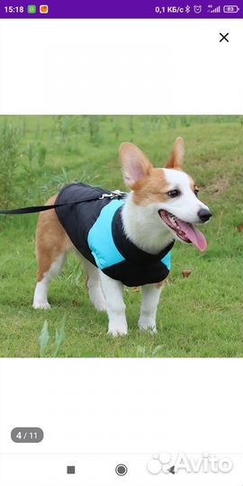 Жилетка для собак