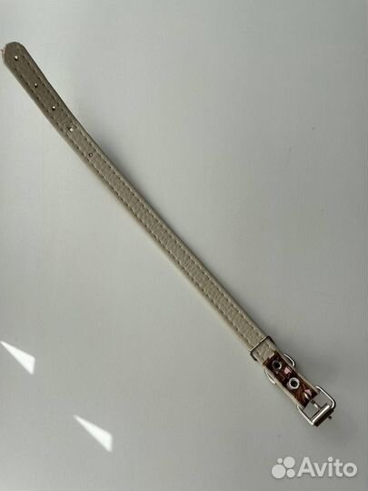 Ошейник для маленькой собаки