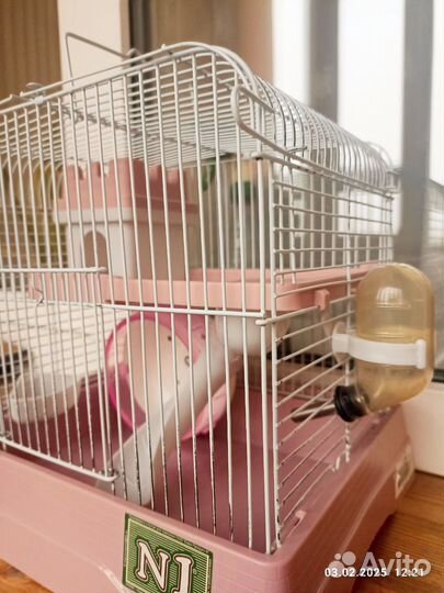 Клетка для хомяка + подарочки