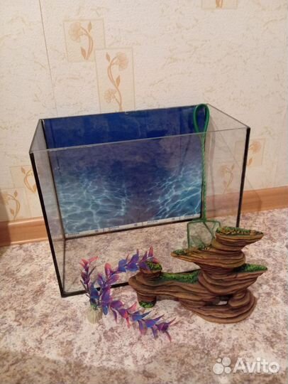 Аквариум