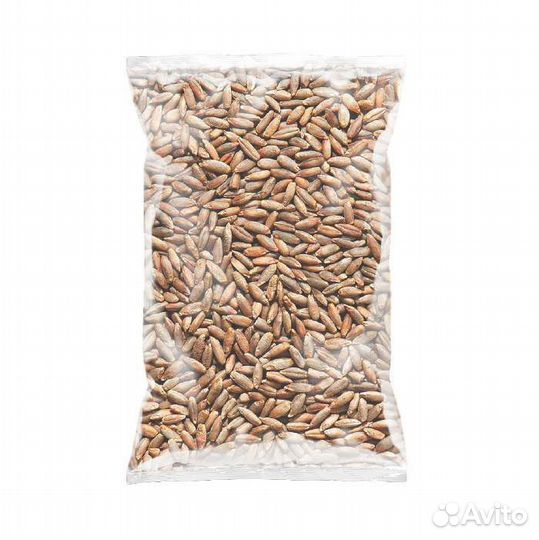 Солод ржаной ферментированный в зернах, 1 кг