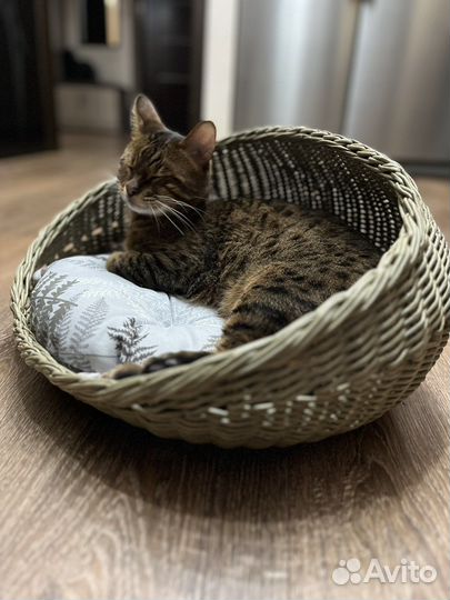 Лежанка для животных