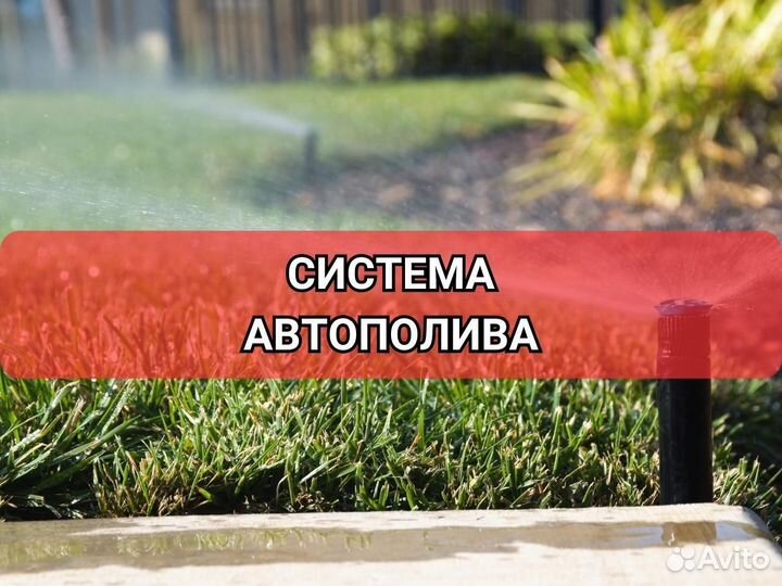 Укладка рулонного газона эконом