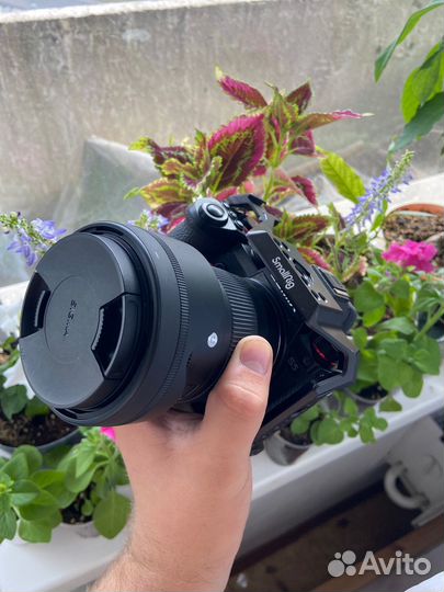 Panasonic lumix s5 sigma 28-70