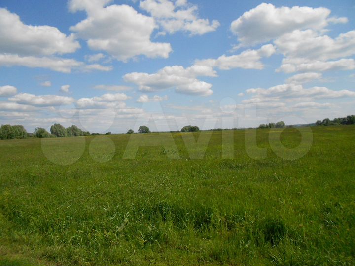 Участок 12 сот. (ИЖС)