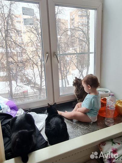 Няня для ребёнка неск раз в неделю на лето