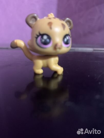 Литл пет шоп