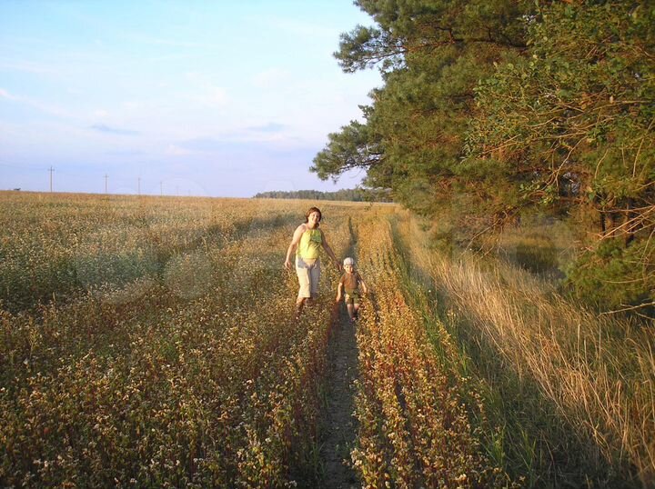 Дом 38 м² на участке 50 сот.