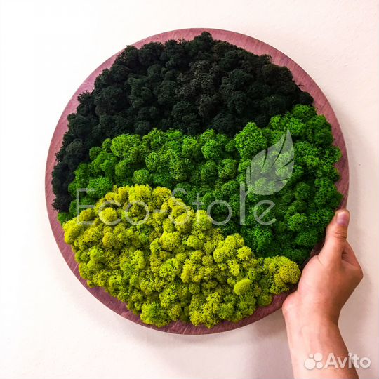 Круглая картина из мха