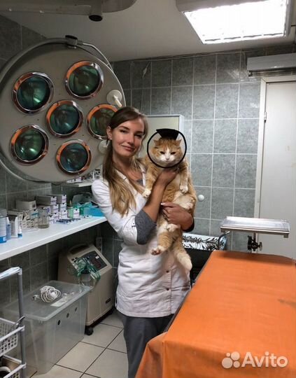 Ветеринарный врач с выездом