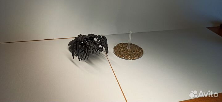 Каноптековый паук/Canoptec Spider