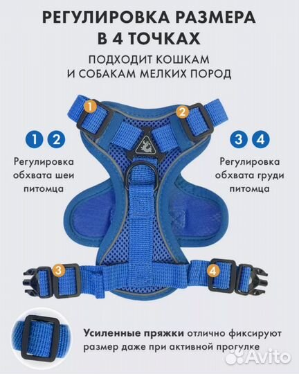 Шлейка для собаки