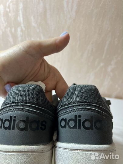 Кеды adidas