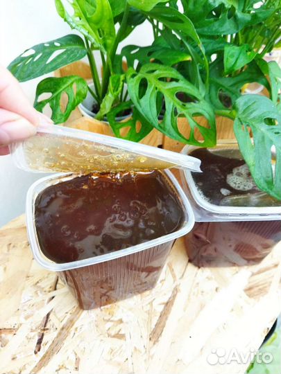 Мёд уникальный