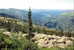 Участок 6,7 га (СНТ, ДНП)